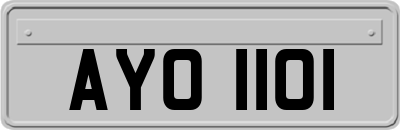 AYO1101