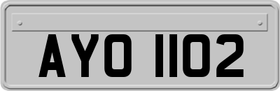 AYO1102