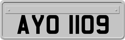 AYO1109