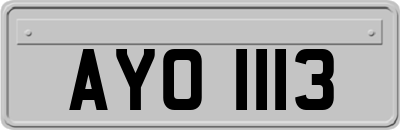 AYO1113
