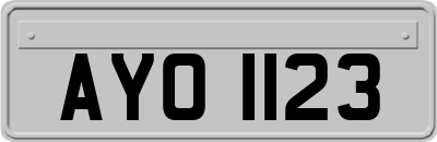 AYO1123