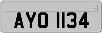 AYO1134
