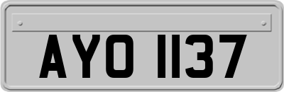 AYO1137
