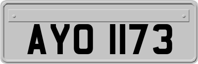 AYO1173