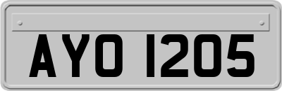 AYO1205