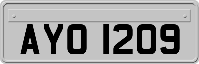 AYO1209