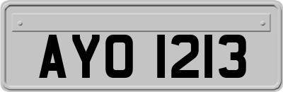 AYO1213