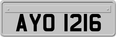 AYO1216