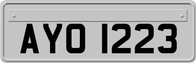 AYO1223