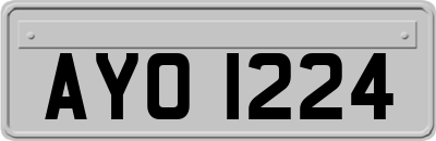 AYO1224