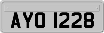 AYO1228