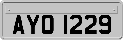 AYO1229