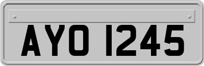 AYO1245