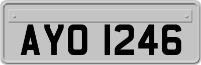AYO1246