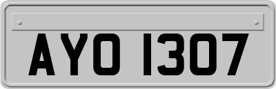 AYO1307