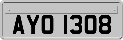 AYO1308