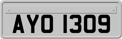AYO1309
