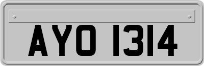 AYO1314