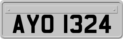 AYO1324