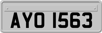 AYO1563