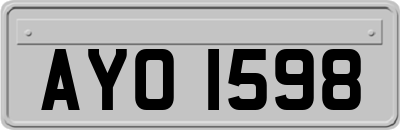 AYO1598