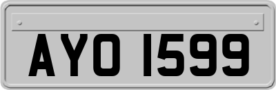 AYO1599