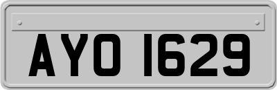 AYO1629