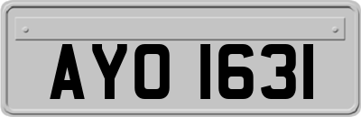 AYO1631