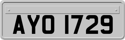 AYO1729