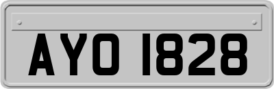 AYO1828