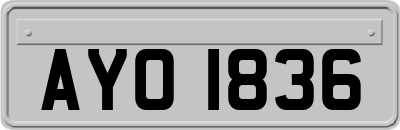 AYO1836