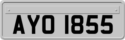 AYO1855