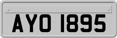 AYO1895