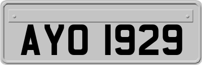 AYO1929