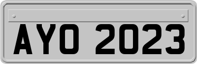 AYO2023
