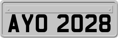 AYO2028