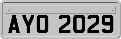 AYO2029