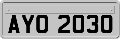 AYO2030