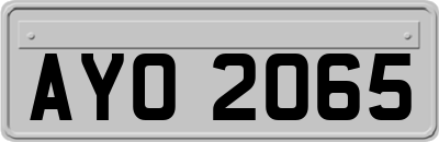 AYO2065