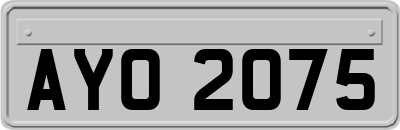 AYO2075