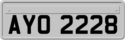 AYO2228