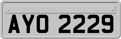 AYO2229