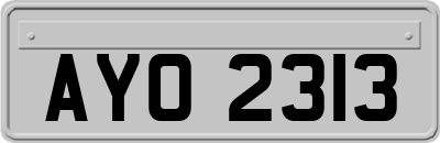 AYO2313