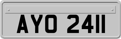 AYO2411