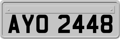 AYO2448