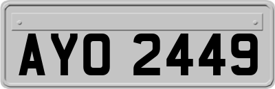 AYO2449