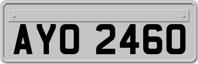 AYO2460