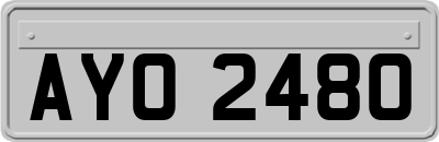 AYO2480