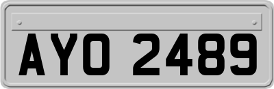 AYO2489