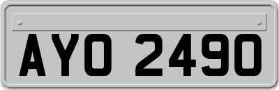 AYO2490